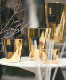 Geurkaars Baobab "Les exclusives Aurum"